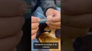 Cómo hacer un ponchado? #domotica #inmotica #ingenieria #automatizacion #smarhome