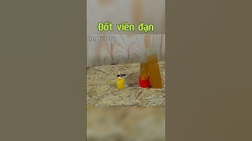 Đốt viên đạn, điều gì xảy ra? (thí nghiệm nguy hiểm, không làm theo) | Cộng Kiến Thức Shorts