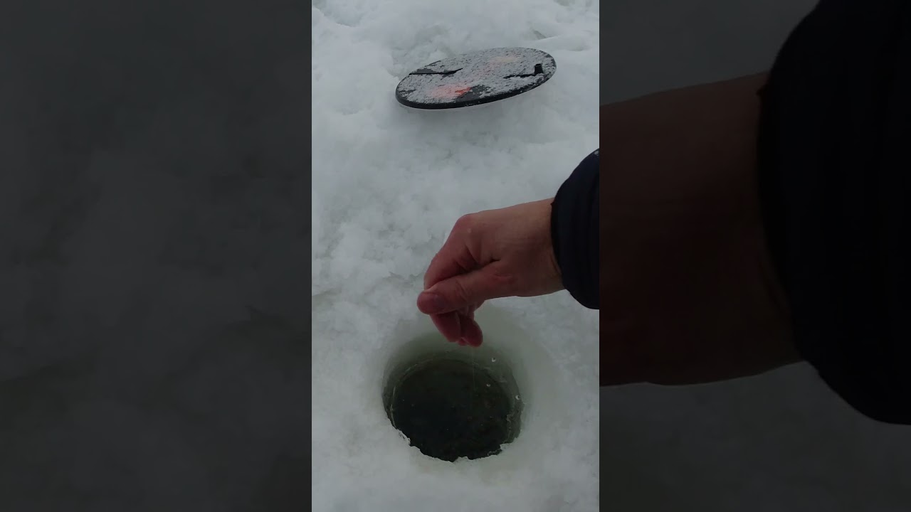 Правильная поза поставушки на форель - ручкой вверх). Поимка форели на живца.