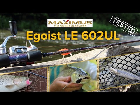 Обзор удилища Maximus Egoist LE 602UL