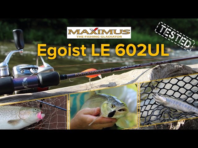 Maximus Egoist LE 602UL