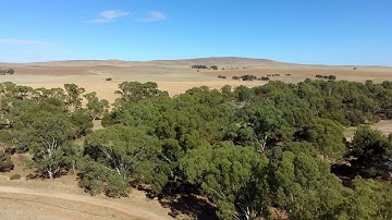 Zino Pro Plus - orbit mode and waypont mode