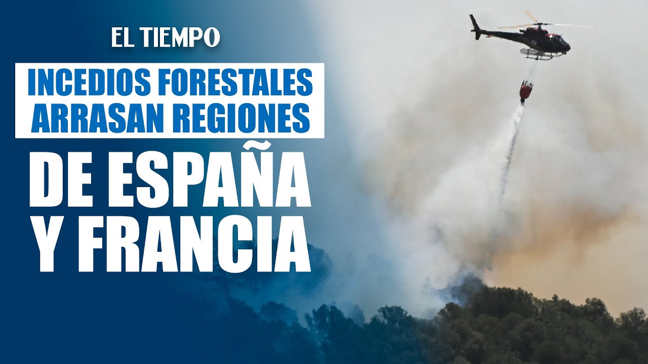 Incendios en #España y #Francia queman miles de hectáreas | El Tiempo ...