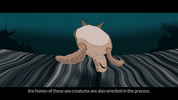 What is Bottom Trawling?