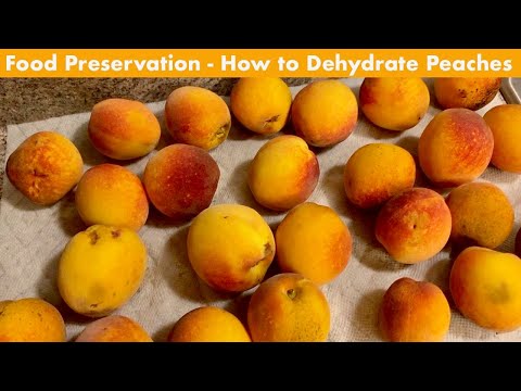 How to Dehydrate Peaches - Fresh Off The Grid