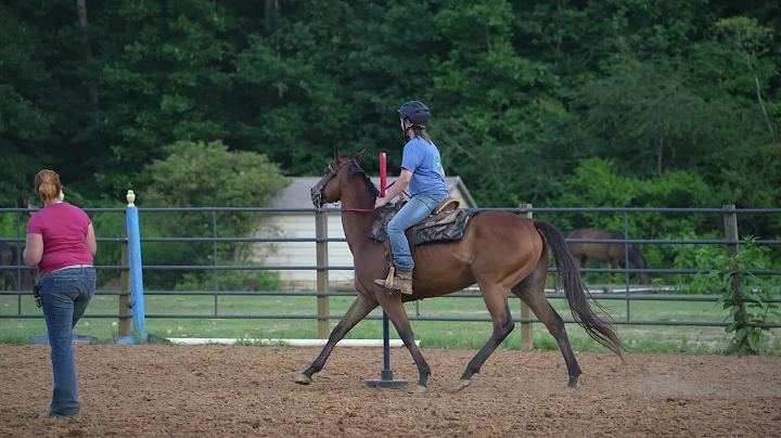 Rey practicing poles?