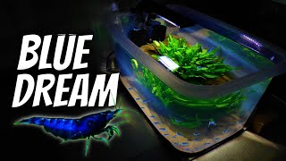 How I Cull Blue Dreams!