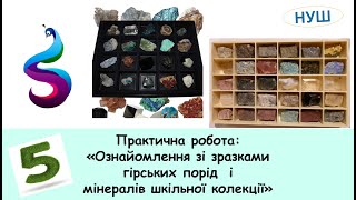 Практична робота: «Ознайомлення зі зразками гірських порід і мінералів шкільної колекції»