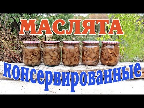 Маслята консервированные. Заготовка на зиму.