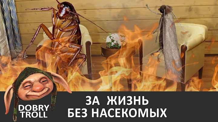 [Dobry Troll] За жизнь без насекомых! | Таракан Моль Лукашенко Путин юмор приколы смех
