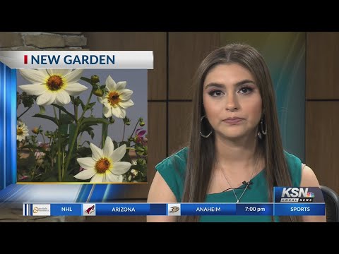 Soaring Heights Elementary School reveals it's new garden