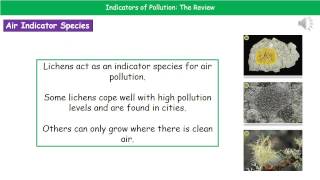 B2 15   Indicators of Pollution Higher Tier Summary