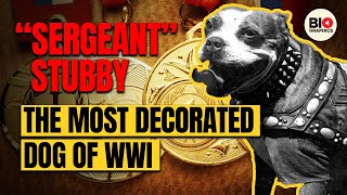 "Sergeant Stubby: The Most Decorated Dog of WWI