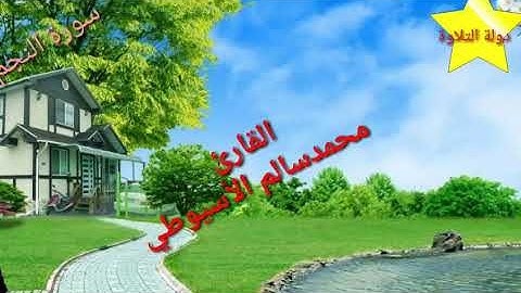 سورة النجم - الشيخ محمد الأسيوطي Al Sheikh Mohamed Al Assyouti Surat An-Najm