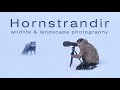 I Got to Shoot Wildlife &amp; Landscape Photography in Hornstrandir Nature Reserve