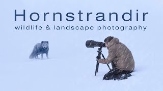 I Got to Shoot Wildlife &amp; Landscape Photography in Hornstrandir Nature Reserve