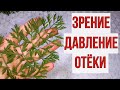 Выпил кружку и забыл о плохом зрении, давлении, отёках и ещё о ста болезнях