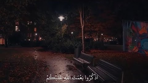سورة فاطر | أنس الهبوبي أكتب شي تؤجر عليه 🤍