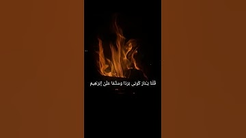 قلنا ينار كوني بردا وسلاما على ابراهيم💙 حالات واتس اب قران// القارئ نور الدين سليم