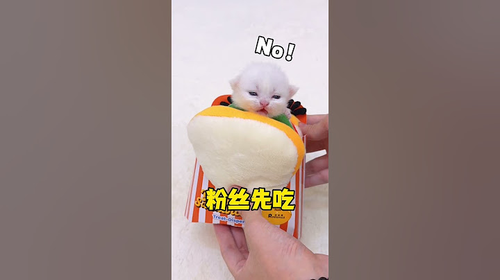 新鲜出炉的小奶猫三明治 谁要尝尝 #铲屎官的乐趣 #小奶猫