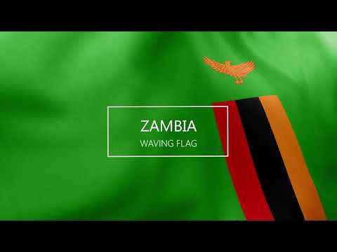 Видео: Замбийското знаме има ли лъв върху него?