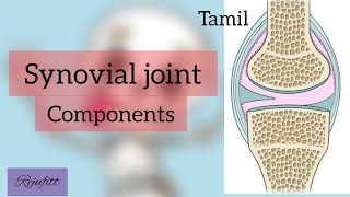 Synovial joint Components - In Tamil #health #medical #physiotherapy #anatomy #physiology #examtips