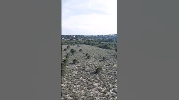 FpV Drone FailSafe 100%....It