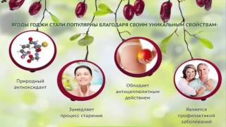 Где купить ягоды годжи, Обзор рецептов для похудения я Где купить ягоды годжи, Обзор рецептов для похудения я