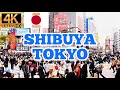 tokyo japan virtual tour Shibuya walk at night 4k videos 2022