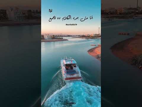 همشي بقانون تخون هخون