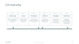 Grow CX maturity