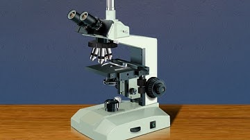 Light Microscope - Amrita University