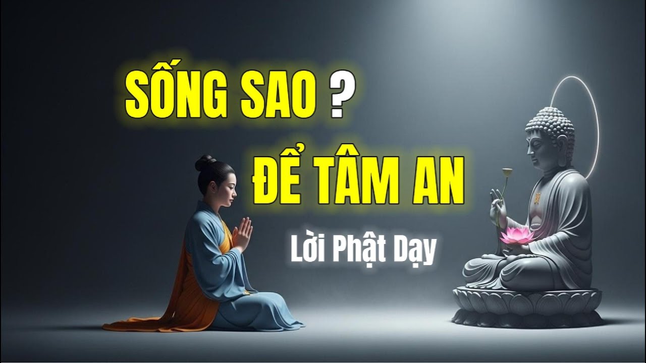 Lời Phật Dạy Về Cách Sống Giúp Tâm An Giữa Đời Biến Động