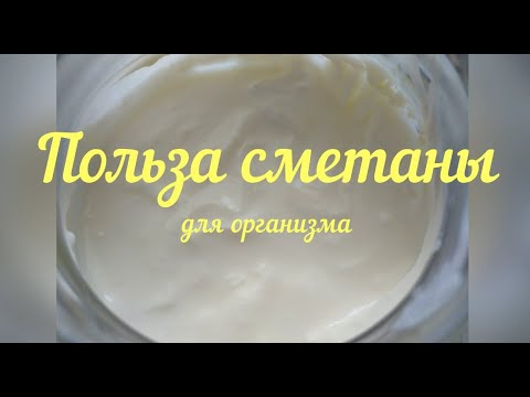 Польза сметаны для организма