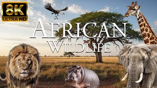 African Wildlife 8K ULTRA HD | The Great Wildebeest Migration | Africa Savanna