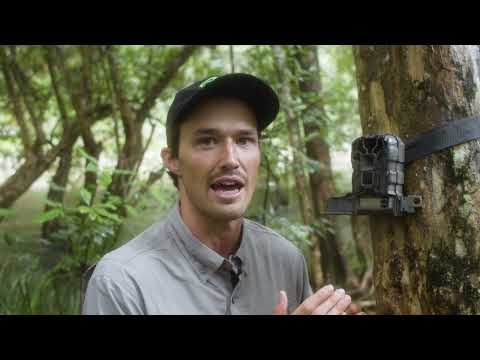 How to set up and use a trail camera (Training Video)