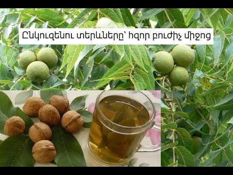 Video: Ընկած տերեւներ