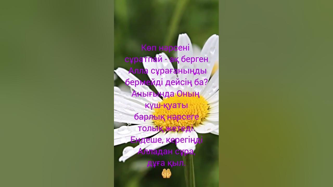 Алла-ұлық!🤲 - YouTube