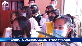 Балдар арасында сасык тумоо күч алды