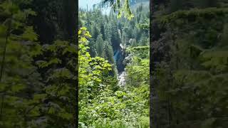This is the trail to Twin Falls. 🤩❤️ #shorts #waterfall #twinfalls #dc #naturelovers #paradise