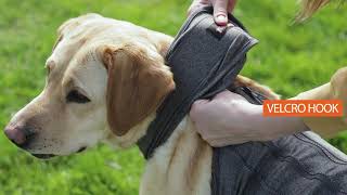 Dog Anxiety Jacket Calming Vest - How to Use