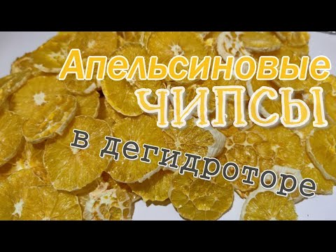 Апельсиновые чипсы в дегидраторе- Идеи- опыт и ошибки-