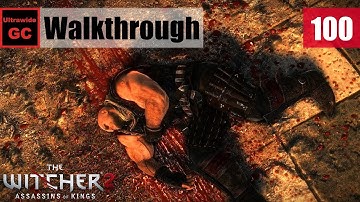 The Witcher 2 [#100] - Chapter 3 Roche - Kill Letho + Síle / Save Anais + Dragon || Walkthrough