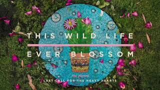 Video thumbnail of "This Wild Life - Last Call For The Heavy Hearts (Official Audio)"