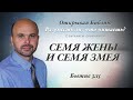 Семя жены и семя змея. Быт. 3:15.