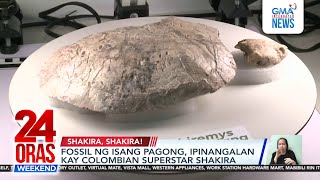 Download Lagu Fossil ng pagong, ipinangalan kay Shakira | 24 Oras Weekend MP3