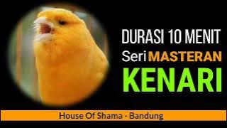 Masteran Murai Batu, Suara Kenari 10 menit