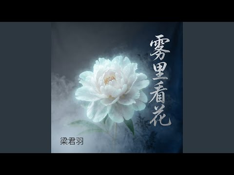 雾里看花