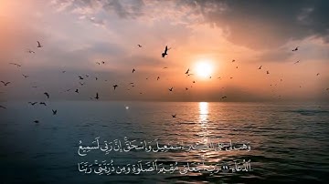 ﴿رَبَّنا إِنَّكَ تَعلَمُ ما نُخفي وَما نُعلِنُ﴾ **القارئ محمد عبد اللطيف**