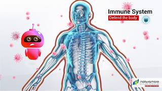 Naturamore Immune Plus Trivia (English)